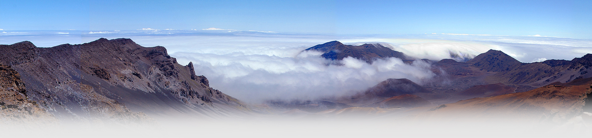 ����78m���Ź���